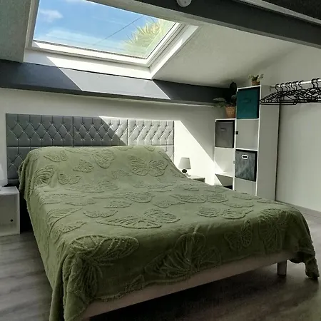 Daire Piscine En Haute Corse