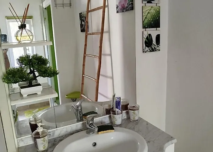 Piscine En Haute Corse Venzolasca