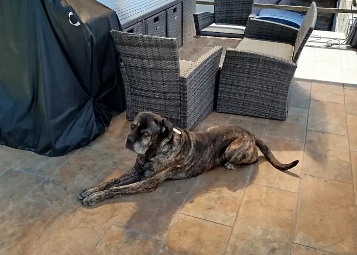 דירה Piscine En Haute Corse *